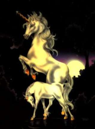 IMAGE FANTASTIQUE